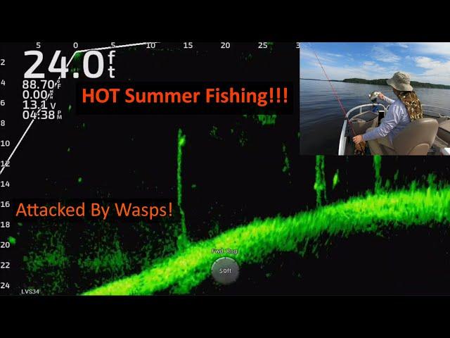 Summer Crappie Fishing on Lake Darbonne!  Full-Screen LiveScope Footage!!!  Trip #20