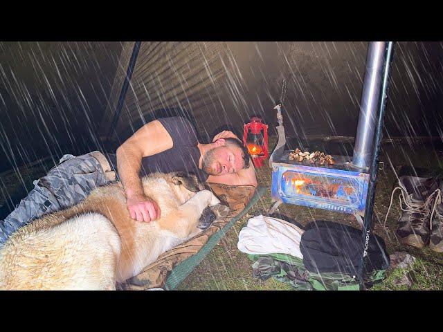 Hot Tent Camping in Heavy Rain All Day! - Caught in Rainstorm With My Dog!