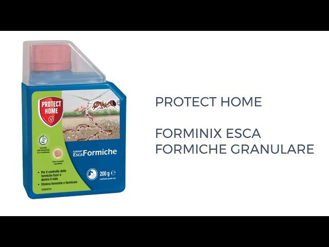 Protect Home Forminix Esca Formiche