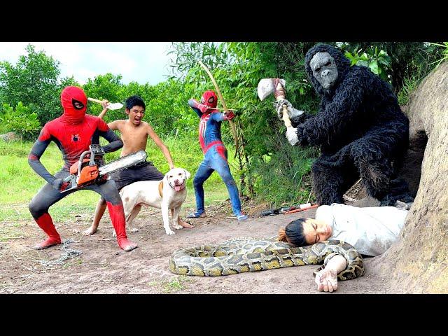 Smart Pitbull Hero with Spider-Man Squad to Defeat King Kong Monster Rescue the Damsel