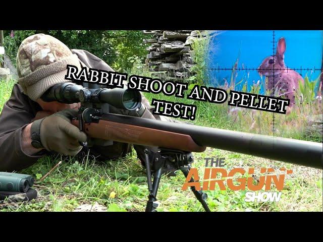 The Airgun Show | Summer rabbit hunting | Bisley airgun pellet review