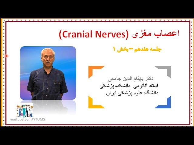 آموزش جامع نوروآناتومی | جلسه هفدهم (1) : اعصاب مغزی (Cranial Nerves) | پروفسور جامعی