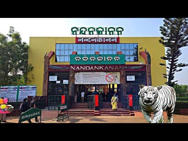 Nandankanan zoo ZoologicalPark  , 2024 Bhubaneswar /nanadankanan zoo best tourist place