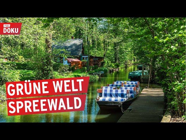 Der Spreewald von oben | Wasserlabyrinth in Brandenburg | Doku & Reportage