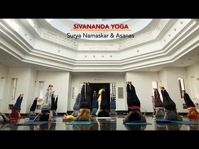 Surya Namaskar & Asanas - Sivananda Yoga 40 mins