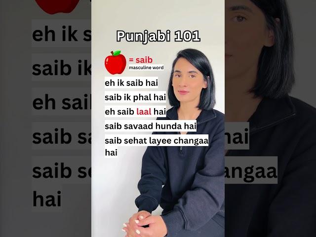 Learn Punjabi Beginner Sentences