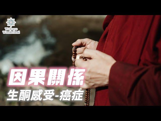 【生酮感受】癌症的因與果 | 有因就必有果？| 因與果的路之間存在甚麼？| 如何避免因成熟為果？