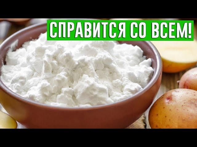 Обычный крахмал упрощает мой домашний быт! 8 интересных лайфхаков!