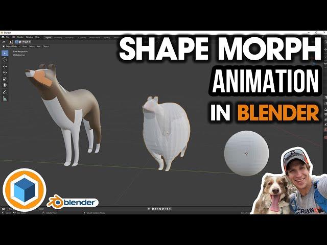 Creating a Morphing Shape Animation in Blender!