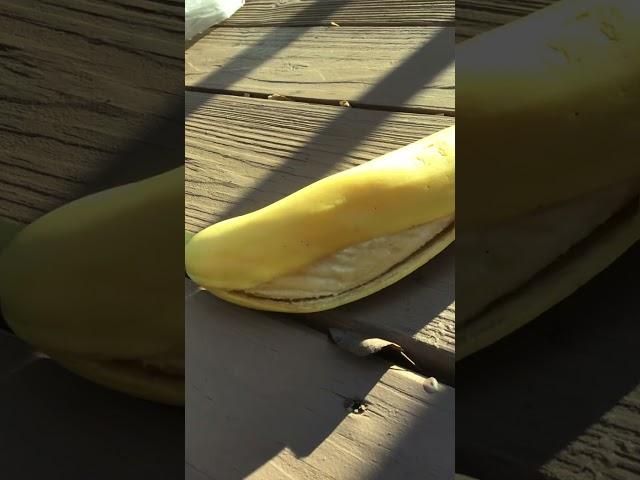 Destroying a banana.Almost got stung by a bee!!!!!:o