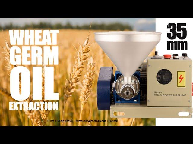 Wheat germ cold oil extraction - Persseh cold press machine 35mm