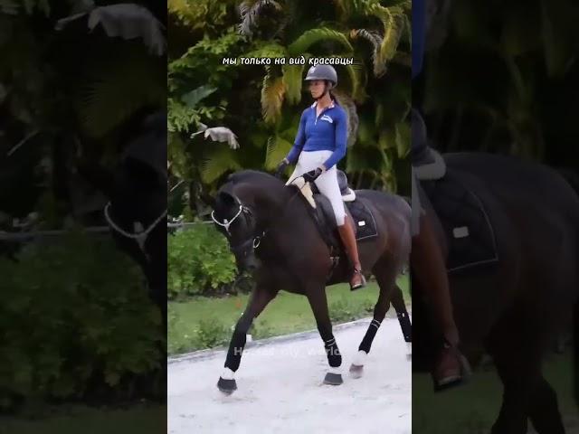 //просто видео! #horse#лошади#конный#спорт#equestrian#рекомендации#актив#подпишись