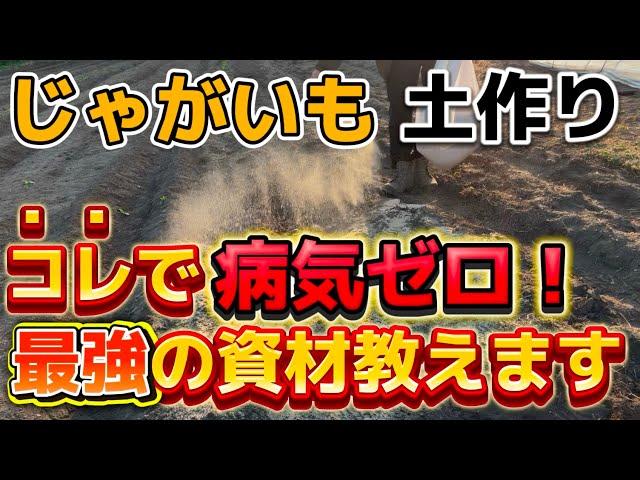 【じゃがいも】土作りの時必ずコレ入れて！病気にならないようになる最強の資材を紹介します