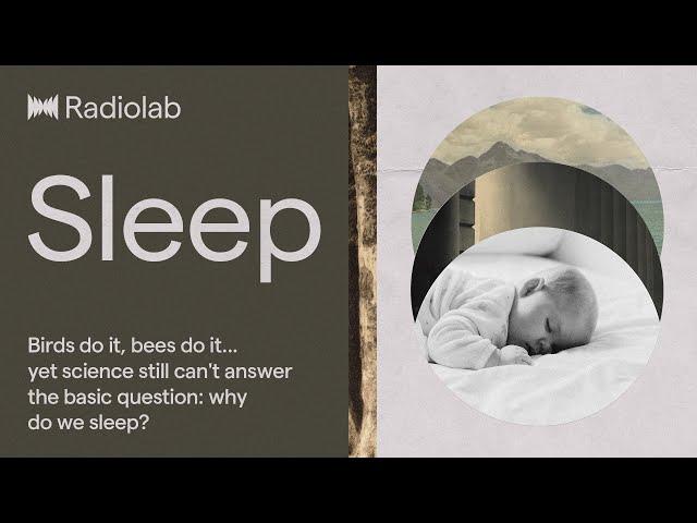 Sleep | Radiolab Podcast