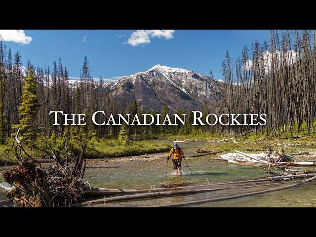 Solo Hiking in the Canadian Rockies Wilderness for 6 Days