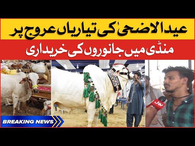 Eid ul Adha Preparation | Karachi Cattle Farms | Breaking News