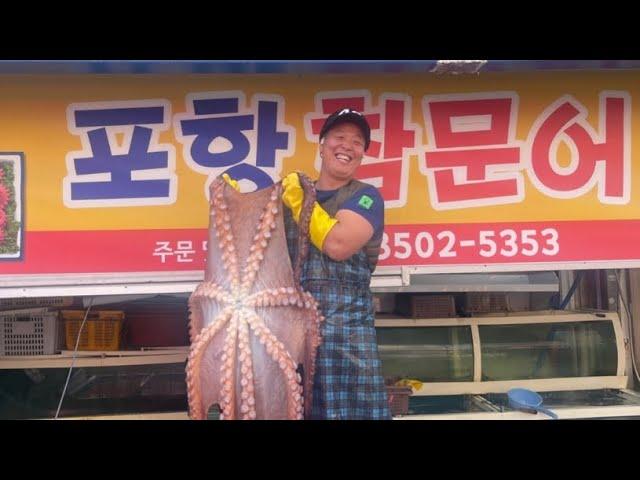 a giant octopus 포항참문어 죽도시장 문어골목 돌문어 대왕문어 010 8502 5353