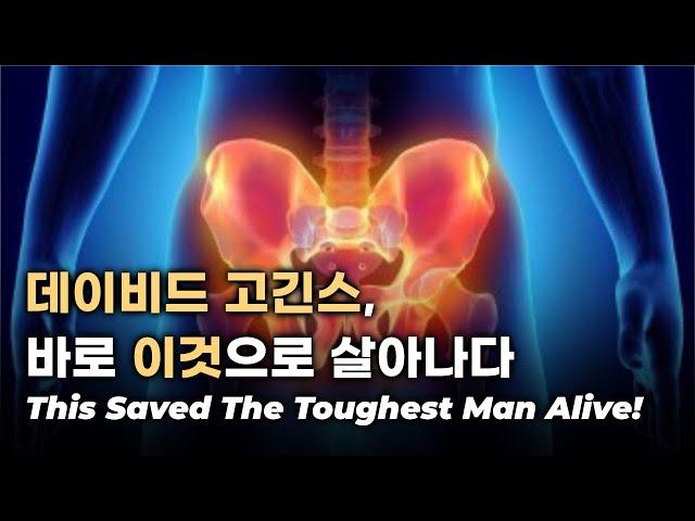 데이비드 고긴스의 목숨을 살린 바로 이것! | 신경통이 있는 분들은 반드시 봐야할 영상  (동기부여) (한영자막)