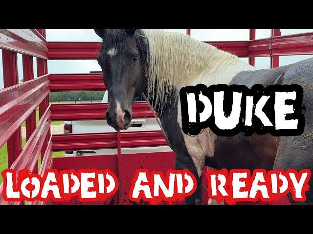 How I Loaded My Neighbors Horses!