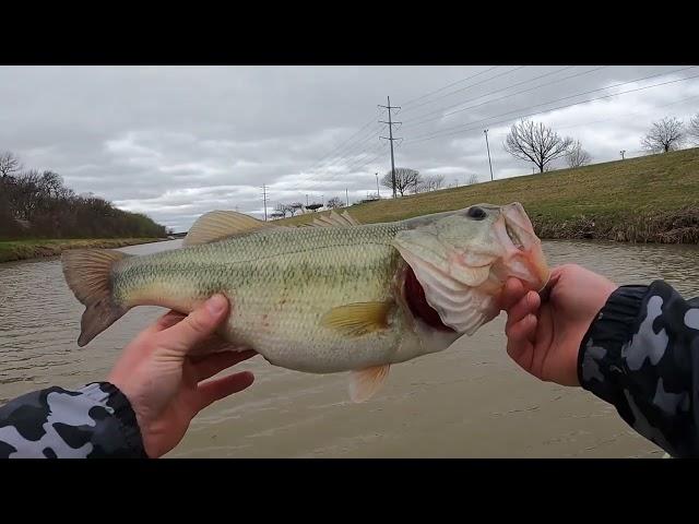 Catching a GOOD fish in TOLIET WATER... Oakley Takes a plunge...