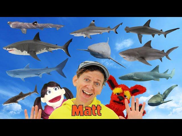 Sharks | What Do You See? Song  | Find It Version | Dream English Kids