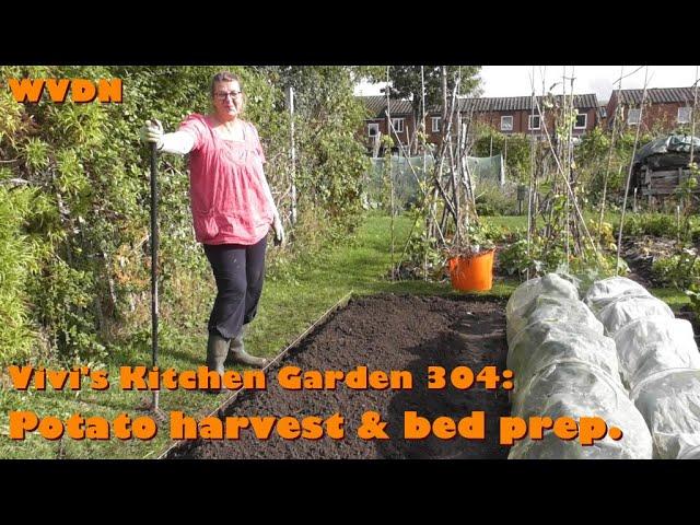 Vivi's Kitchen Garden 304: Potato harvest & bed prep.