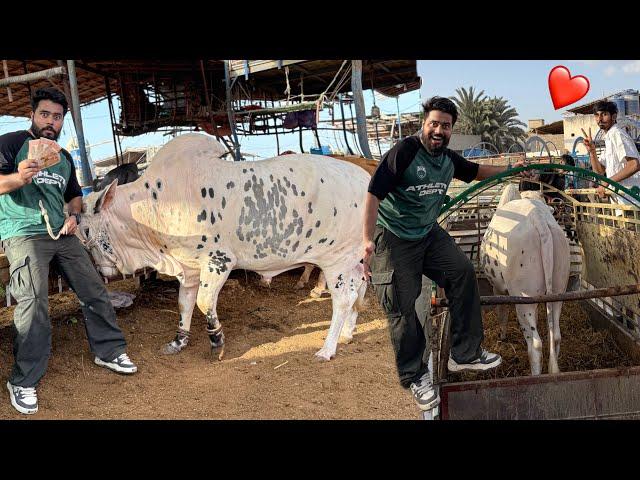 EID DAY 3 KO SODA HO GAYA  | BEOPARI PARESHAN  | SYED FAHAD