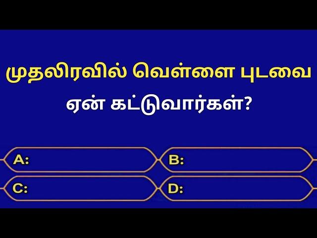 Gk Questions In Tamil | Episode - 127 | Quiz | Gk | Facts | General Knowledge | Seena Thoughts