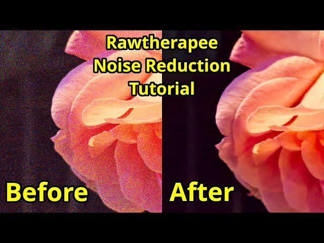 Rawtherapee Noise Reduction Tutorial (2023)