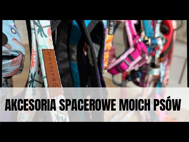 Akcesoria spacerowe moich psów