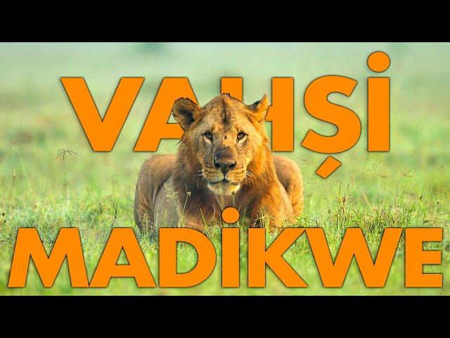 An Adventure in the Heart of Africa | Wildlife Documentary 