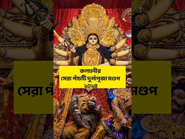 Kalyani top five Durga Puja pandal 2024 #kalyanidurgapuja2024 #kalyanitop5durgapuja2024 #durgapuja