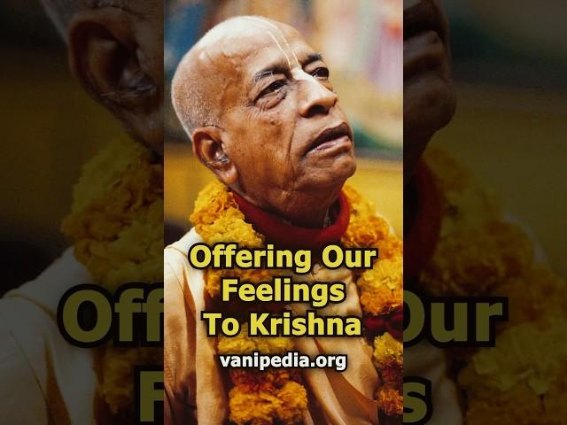 Offering Our Feelings To Krishna - Prabhupada 0615