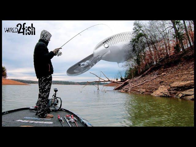 Finding Prespawn Bass on Highland Reservoirs with Shad Raps