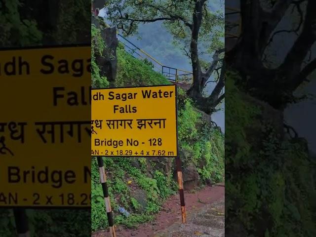 Dudhsagar waterfalls,goa