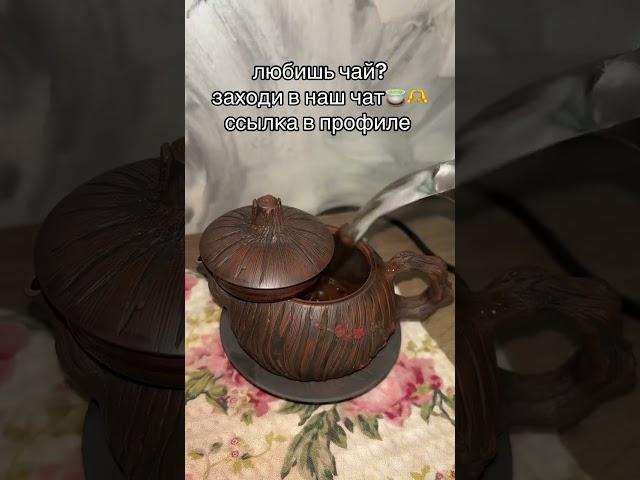 Чайный чатик в профиле  #чай #китайскийчай #чайнаяцеремония #чайная  #пуэр #чайныйпьяница #teacore