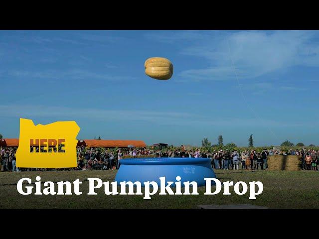 Giant pumpkin dropped 100 feet into pool at Bauman Harvest Festival