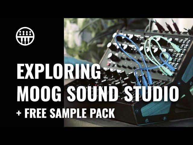 Exploring The Moog Sound Studio | + Free Sample Pack | Thomann