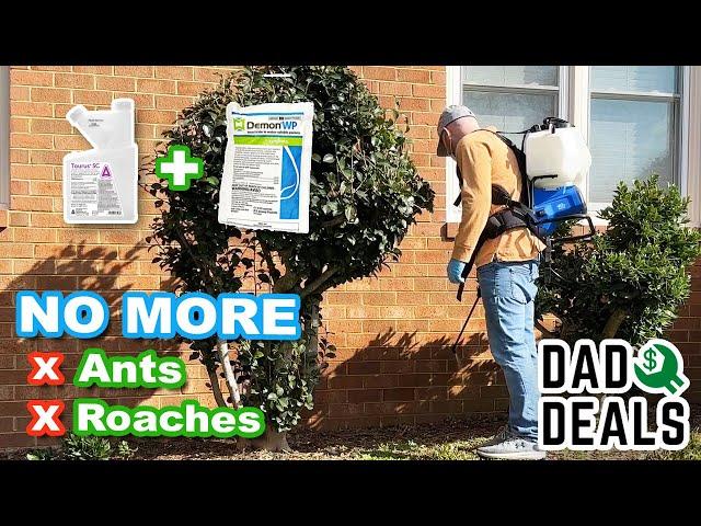 How To Do Your Own Pest Control and SAVE MONEY | Dad Deals