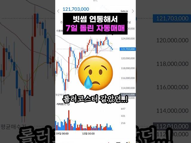 빗썸 전용 업리치! 일주일 사용 수익은?! #비트코인 #자동매매 #코인자동매매 #코인투자 #재테크 #부업  #무료체험