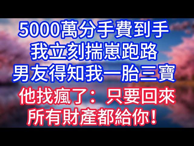 【情感故事】5000萬分手費到手，我立刻揣崽跑路，男友得知我一胎三寶，他找瘋了：只要回來，所有財產都給你！#故事 #人生哲理