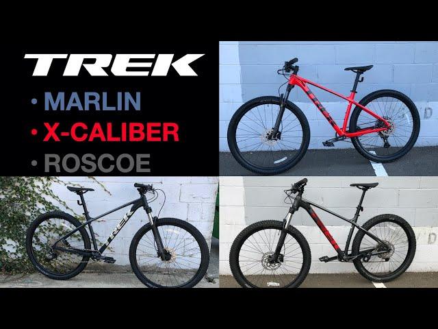 2021 Trek Marlin 7 vs X-Caliber 8 vs Roscoe 6 (In-Person Comparison)