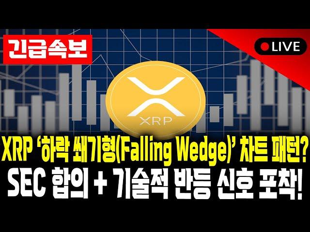 “XRP, 40% 상승 예고? 리플-SEC 합의와 차트 패턴이 보여준 신호”