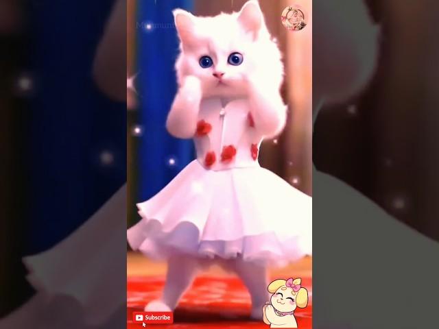 Patli kamariya more hai hai || cute cat dance video || #shorts #cat #shortsfeed