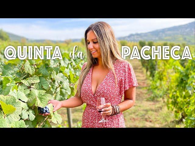 The Wine House Hotel | Quinta da Pacheca