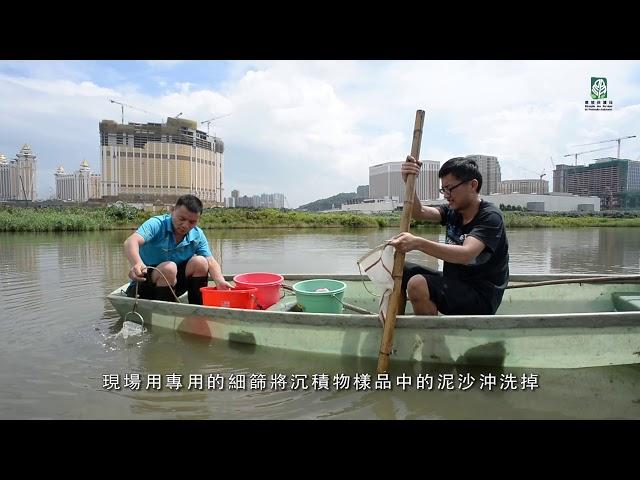 澳门路氹城生态保护区