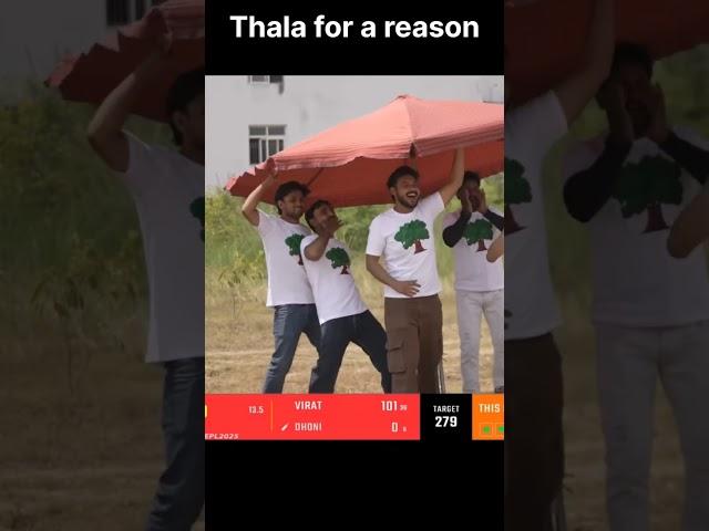 Thalia for a reason #viratkohli #zainsaifi #nazım #waseem #comedy #funny #memes  #epl  #round2hell