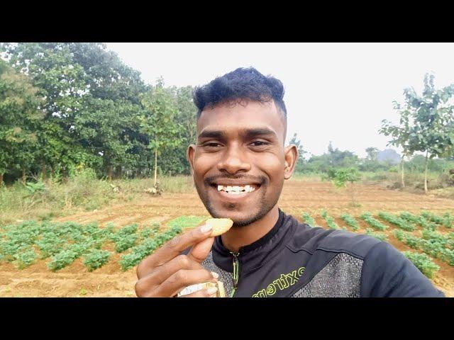 Allu Barri hindi vlog video 2024 l Our beautiful garden l Sb Vlog