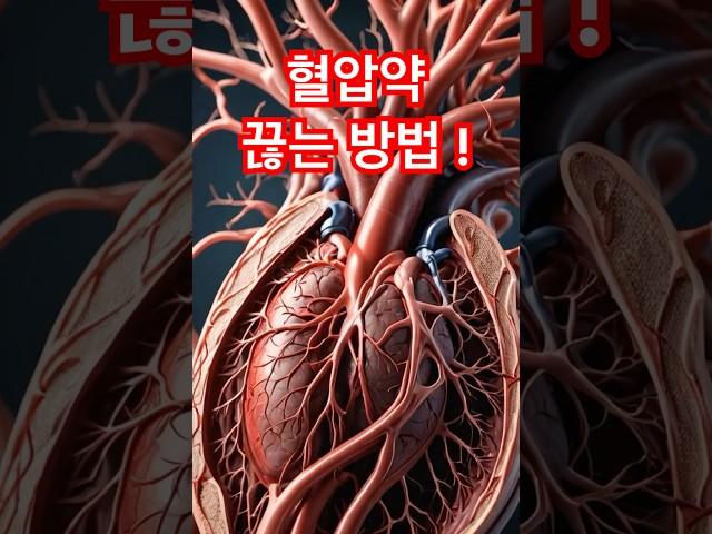 혈압약, 정말 평생 먹어야 할까요? 의사가 말해주는 진짜 이야기! #시니어건강 #건강상식 #혈압약 #고혈압 #건강정보 #혈압관리 #약없이사는법 #건강채널