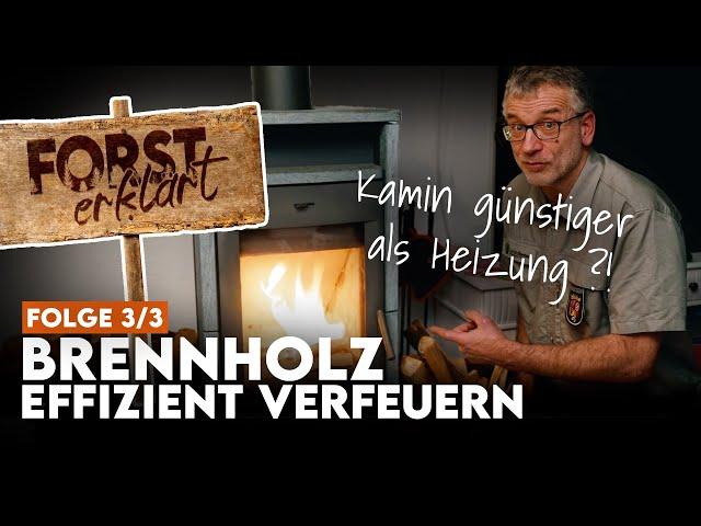 So kannst Du mit Deinem Kamin bares Geld sparen | Forst erklärt Brennholz-DIY Part 3/3